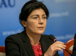 Сильвия Раду заявила о повреждении веб-камер и нашествии мертвецов в примэрию