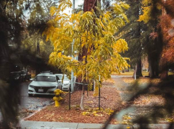 В понедельник в Молдове сильно похолодает 