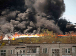 Причину резонансного пожара в Институте микробиологии назвали его директор и сотрудники