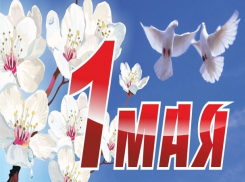 Чебан: поздравляю с Международным днем солидарности трудящихся!