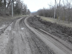 Километр безысходности: молдавское село отрезано от мира - дети не могут добраться до школы из-за грязи
