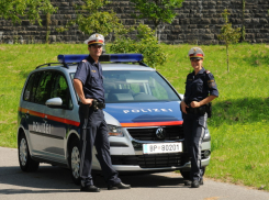 Уроженцы Молдовы участвовали в преступной группе в Австрии