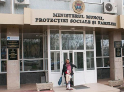 Инспекция труда: в Молдове большое количество людей работают нелегально