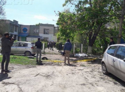 Детали гибели сотрудника школы: мужчина пытался спилить надломленное дерево