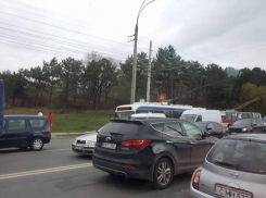 На одной из улиц Кишинева кран оборвал троллейбусные линии