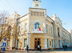 Как власти отреагировали на шокирующий случай с собакой, которой отрезали лапы