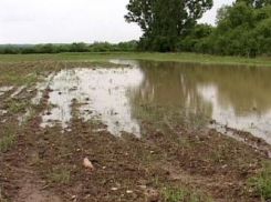 Град, ливень и ураган нанесли большой урон югу Молдовы