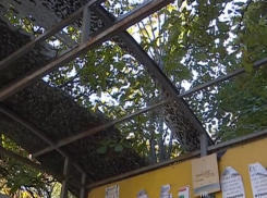 Остановки в Кишиневе, в большинстве своем, никто не ремонтирует