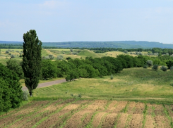 Молдавское село с самым большим количеством больных коронавирусом выглядит вымершим