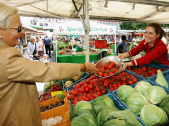Молдова вышла в лидеры рейтинга самых дешевых для жизни стран