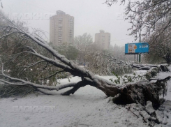 Убытки Кишинева от удара стихии оцениваются предварительно в 50-70 миллионов леев