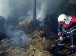 Гибель в огне 250 коров предотвратили пожарные в Теленештском районе