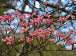 Прогноз погоды на выходные: грядет потепление