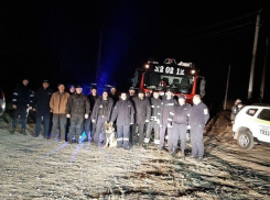 Полицейские и спасатели нашли двух мальчиков, потерявшихся в лесу