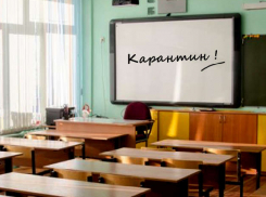 В Приднестровье после завершения каникул школьники уйдут на удаленку 