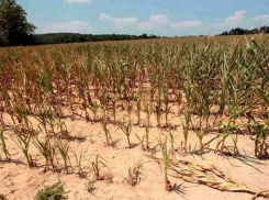 Катастрофическая нехватка чистой воды произойдет в Молдове, - ученый
