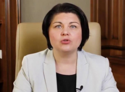Гаврилица назвала протесты граждан «гибридной войной» 