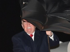 «Ловит сигналы КГБ»: борьбу Трампа с зонтом высмеяли американцы