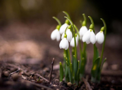 В пятницу в Молдове еще похолодает, местами возможен дождь со снегом 