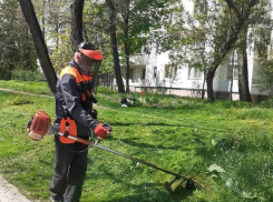 Долой траву. В Кишиневе ведутся работы по ее скосу