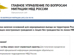 Внимание, мигранты: Заработал сайт, где можно проверить снятие запрета на въезд в РФ 