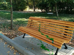 Вандалы испоганили скамейки в Долине роз