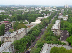 В примэрии Кишинева пройдут публичные дебаты по регламенту о защите зеленых насаждений