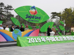 Молдавские фермеры приглашены на грандиозную выставку в Пекине