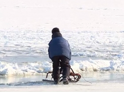 Удивительная беспечность родителей с детьми, прогуливающихся по тонкому льду, попала на видео в Кишиневе