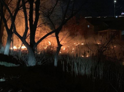 Пожар на улице Албишоара, горит сухая трава