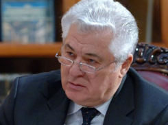 Владимир Воронин порадовался падению ДПМ в яму