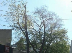 Адовые пробки образовались в зоне Центрального рынка 