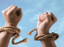 Помилование президента отменено: фигурант дела о подготовке убийств украинских чиновников оказался среди подозреваемых