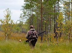 Мужчина застрелил охотника в «проклятом лесу» Чимишлийского района