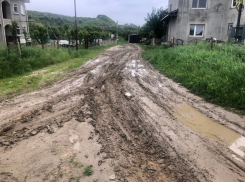 Ватра утопает в грязи, а примар кишиневского пригорода бездействует - соцсети