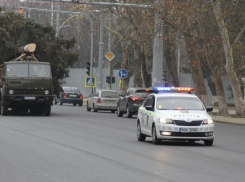 Новогоднюю елку привезли в Кишинев в сопровождении полиции