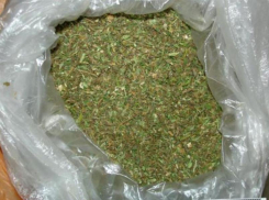 В Хынчештском районе остановили водителя с 300 граммами марихуаны в кармане