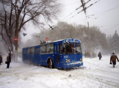 Снежный апокалипсис накрыл Одессу: парализована работа общественного транспорта и аэропорта 
