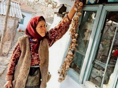 Депутаты альянса снова отказались рассматривать законопроект ПСРМ, направленный на улучшение материального состояния пенсионеров 