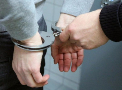 Драчун-тиктокер приговорен к 2,5 годам лишения свободы