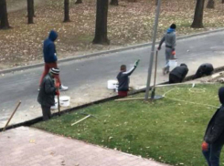 Парламент Молдовы отгораживается от народа: возмущенная Алина Зотя опубликовала фотографии