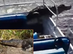 Молниеносный прыжок огромного крокодила в лодку к шокированным туристам сняли на видео