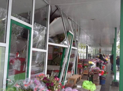 В центре Кишинева дерево упало на цветочный бутик