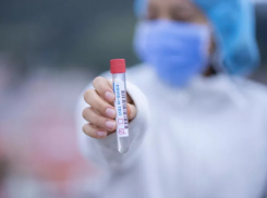 Минобразования: никто не уволился из-за ПЦР-тестов за свой счет