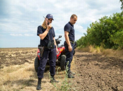 Гражданин Узбекистана сильно удивил молдавских пограничников - его пришлось задержать
