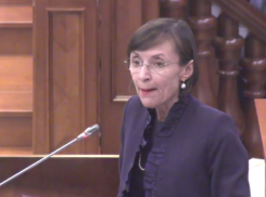 Выступающую в парламенте Корину Фусу заподозрили в нетрезвости 