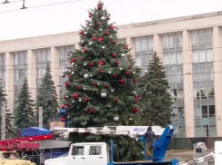 Сильвия Раду решила наказать тех, кто «подставил ее» с ободранной ёлкой из Украины