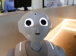 Впервые молдавский турист столкнулся в итальянском отеле с разговорчивым роботом