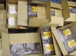 3 тонны кедровых орехов и белорусские таможенники – гражданин Молдовы вляпался не на шутку