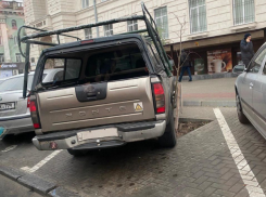 На столичной улице водитель припарковал авто, наехав на деревце